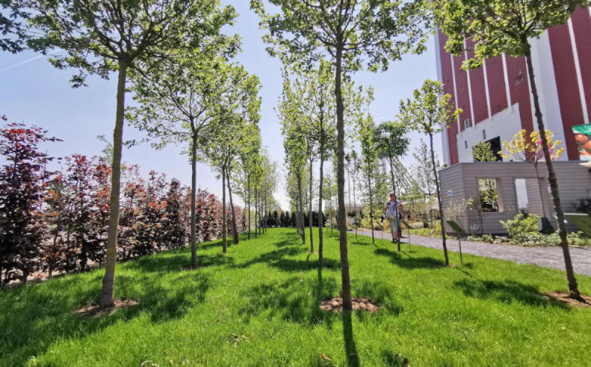 Bildergalerie Ausstellergaerten 05