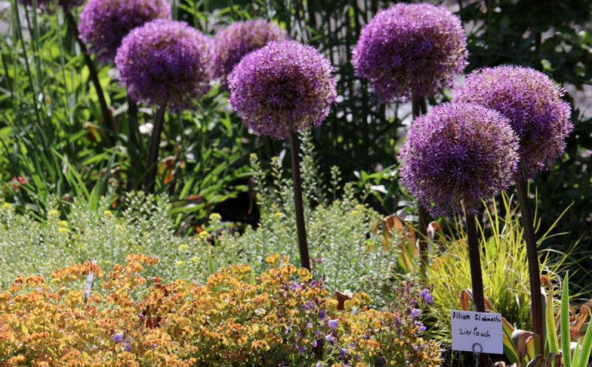 Bildergalerie Ausstellergaerten 06