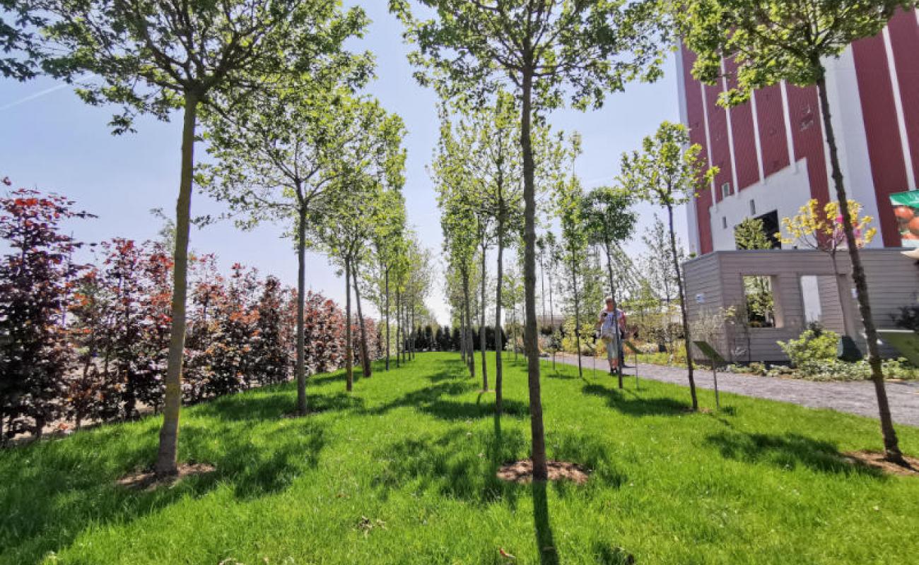 Bildergalerie Ausstellergaerten 05