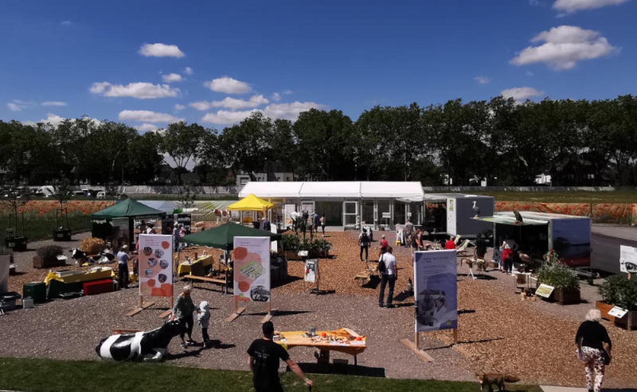 Bildergalerie Ausstellergaerten 01