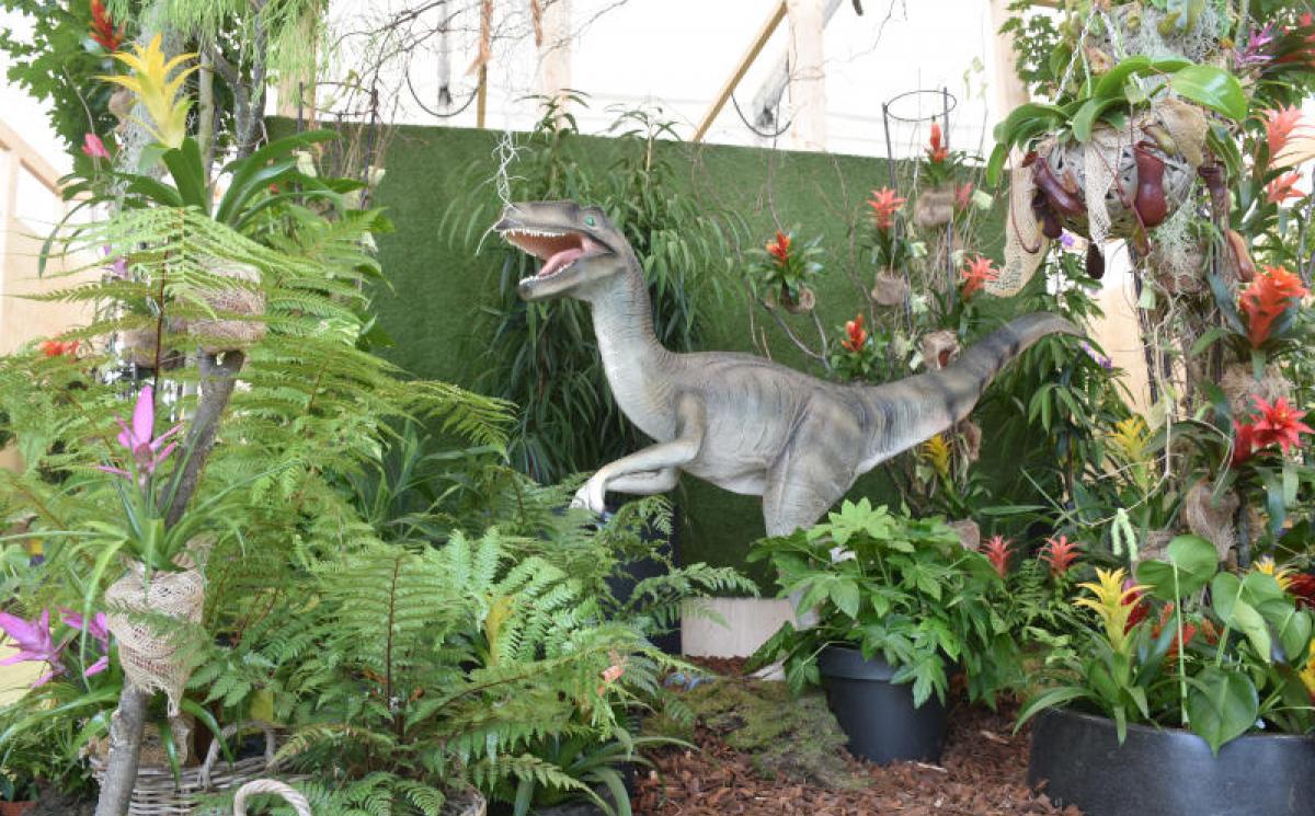 Bildergalerie Blumenhalle 03