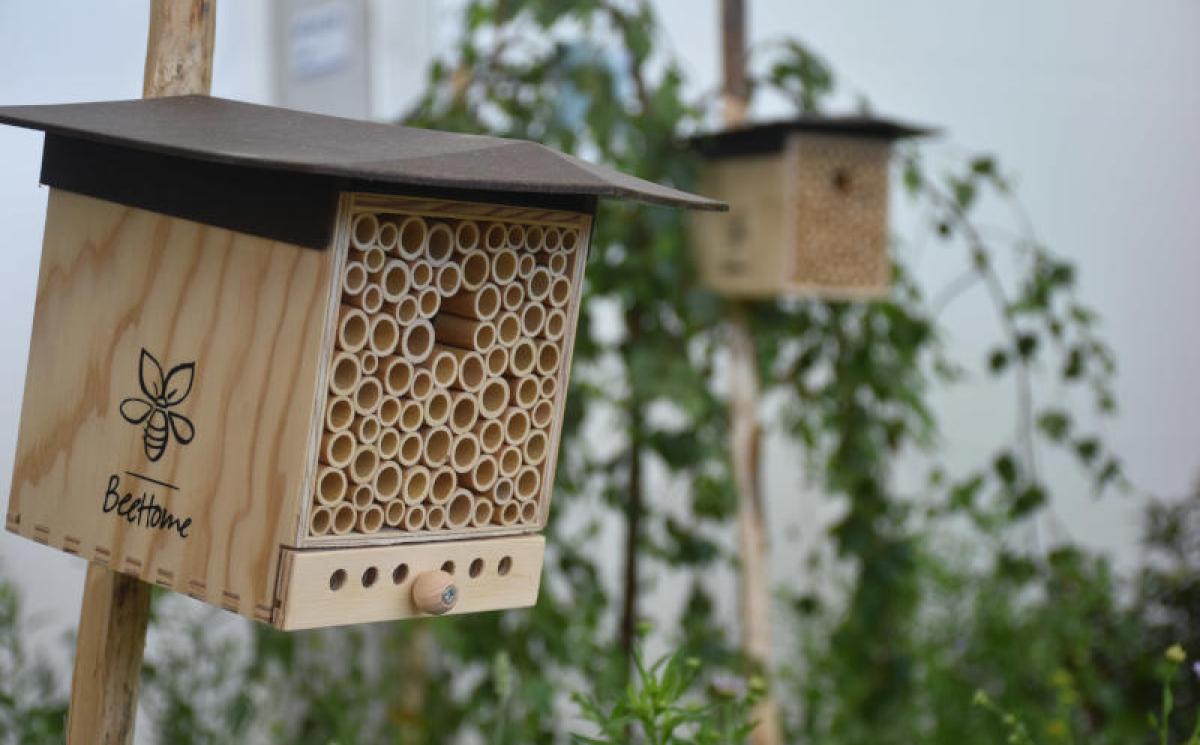 Bildergalerie Blumenhalle 04