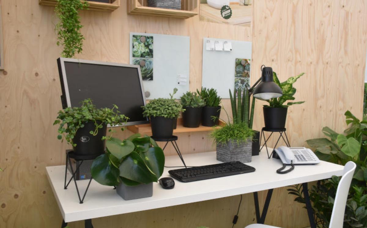 Bildergalerie Blumenhalle 05