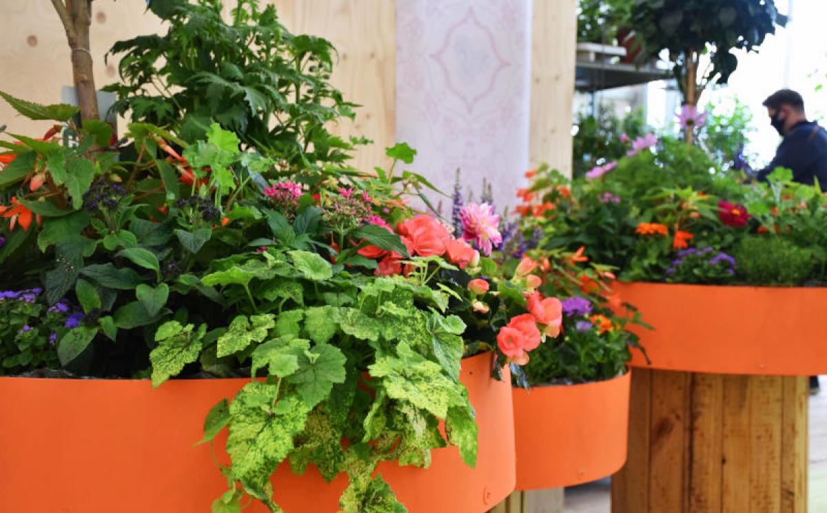 Bildergalerie Blumenhalle 07