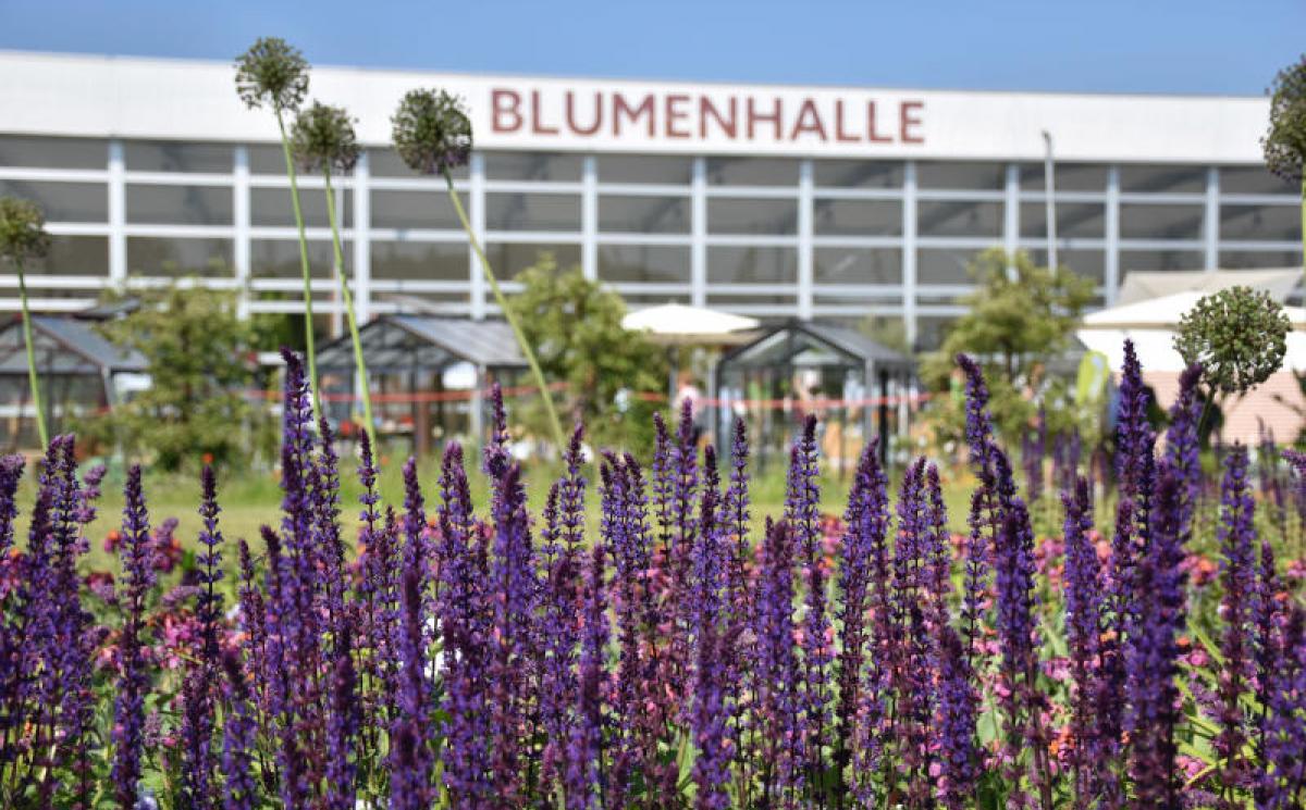 Bildergalerie Blumenhalle 09