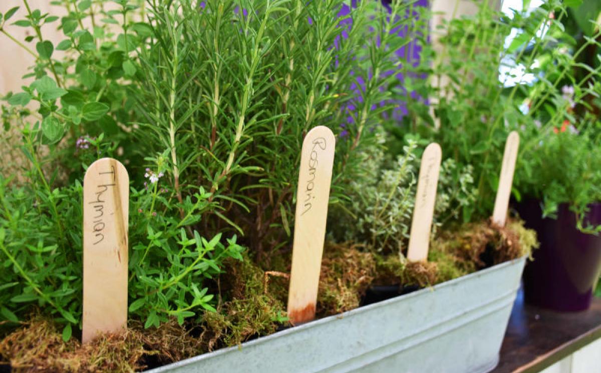 Bildergalerie Blumenhalle 11