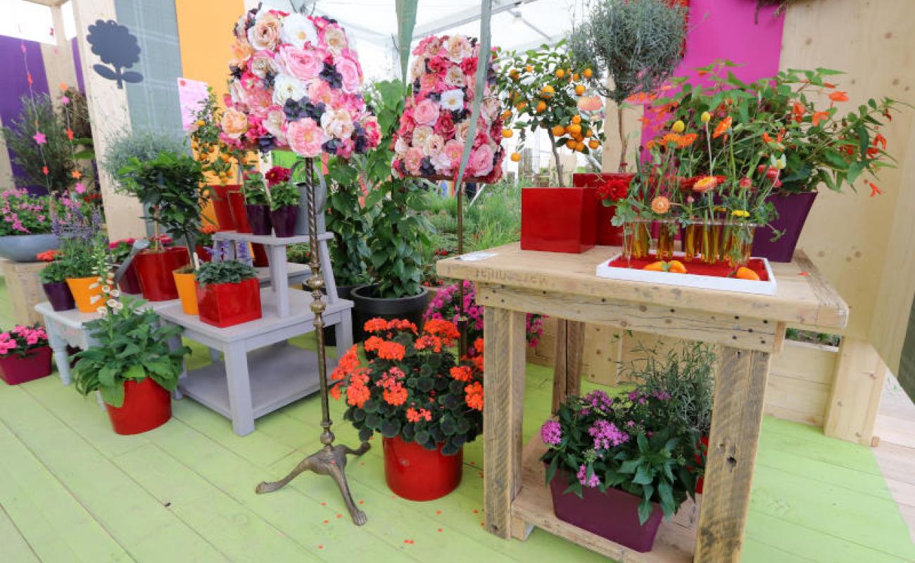 Bildergalerie Blumenhalle 01