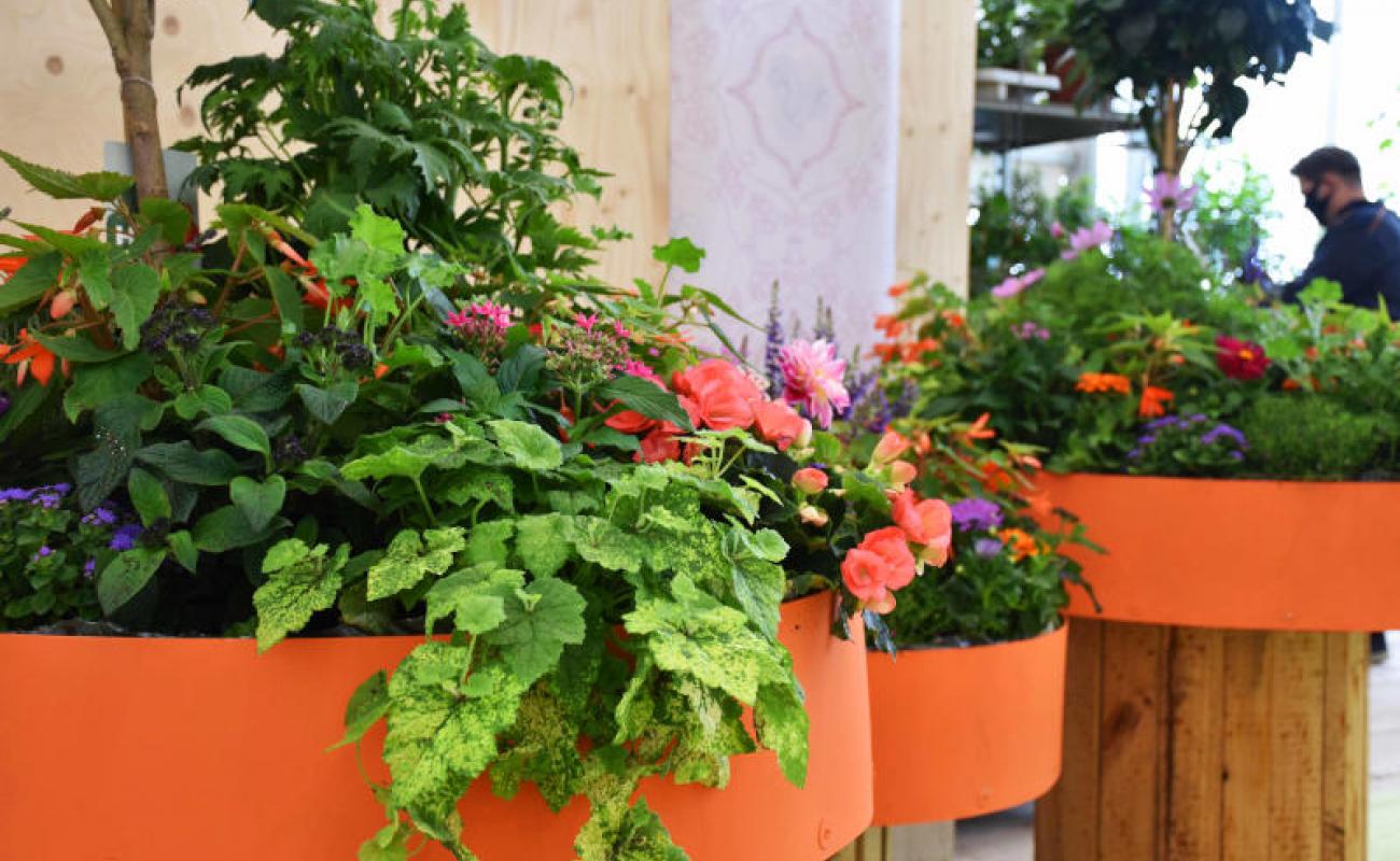 Bildergalerie Blumenhalle 07