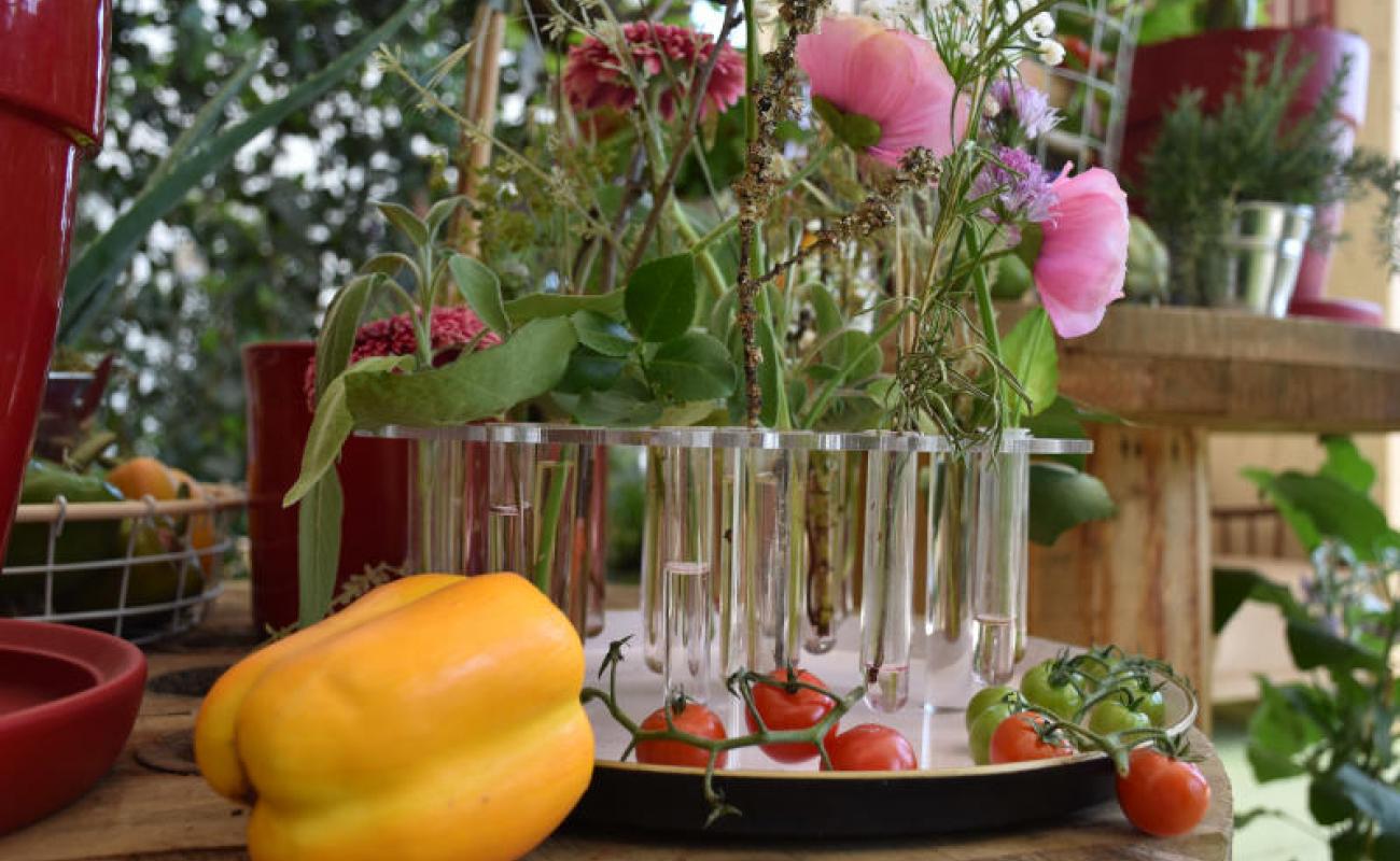 Bildergalerie Blumenhalle 10