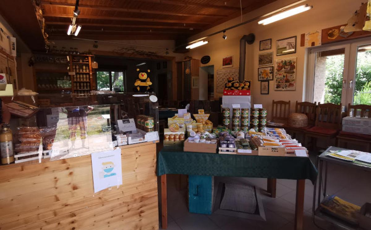 Bildergalerie KamperGartenreich 01