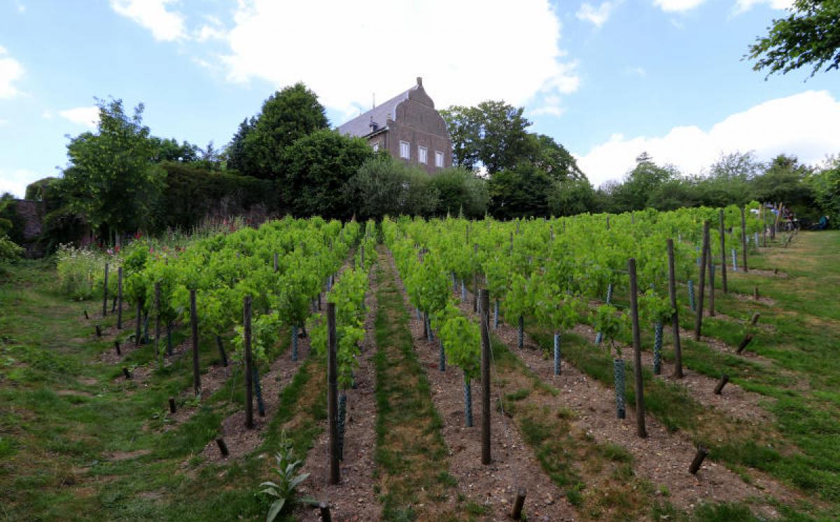 Bildergalerie KamperGartenreich 04