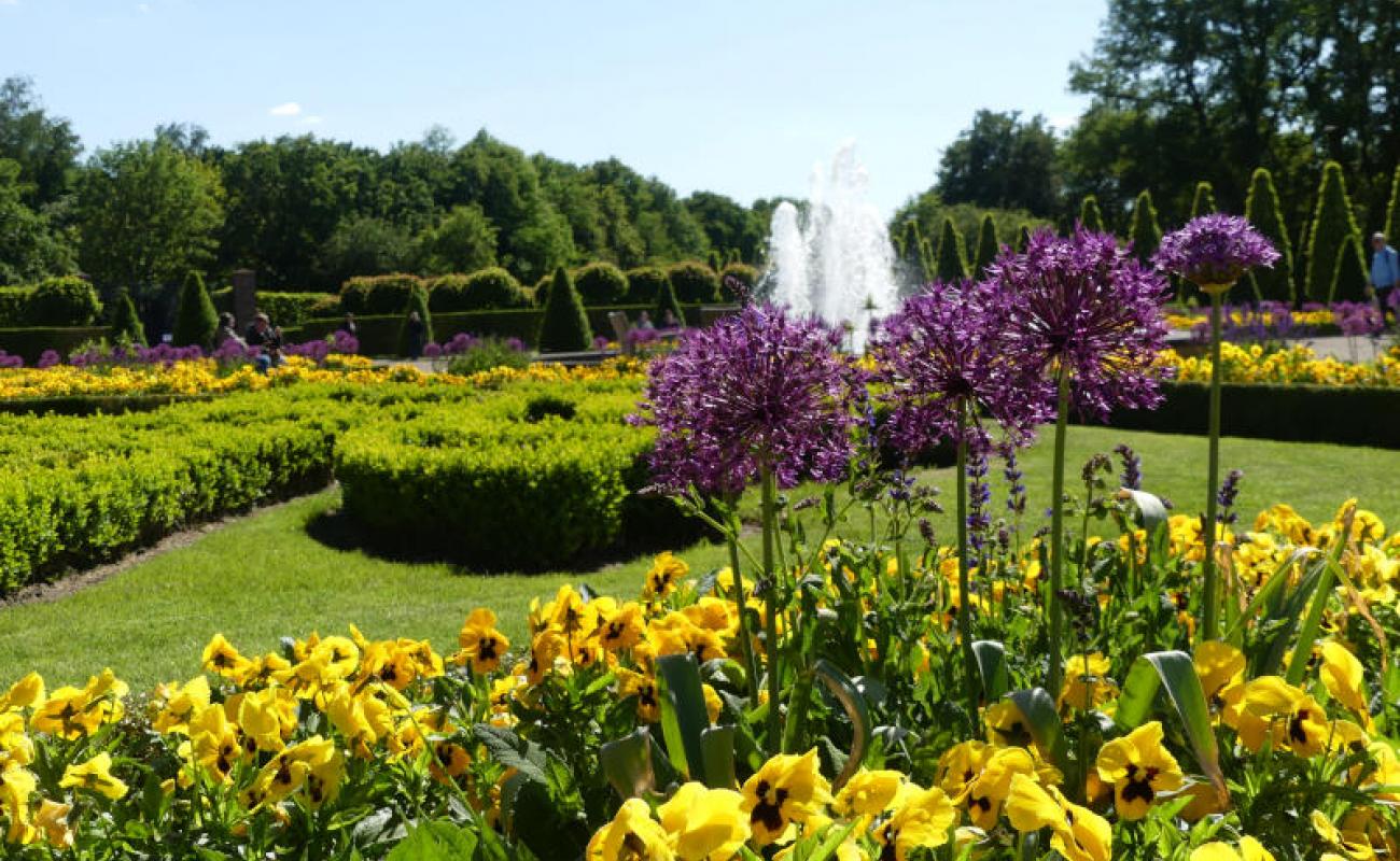 Bildergalerie KamperGartenreich 14