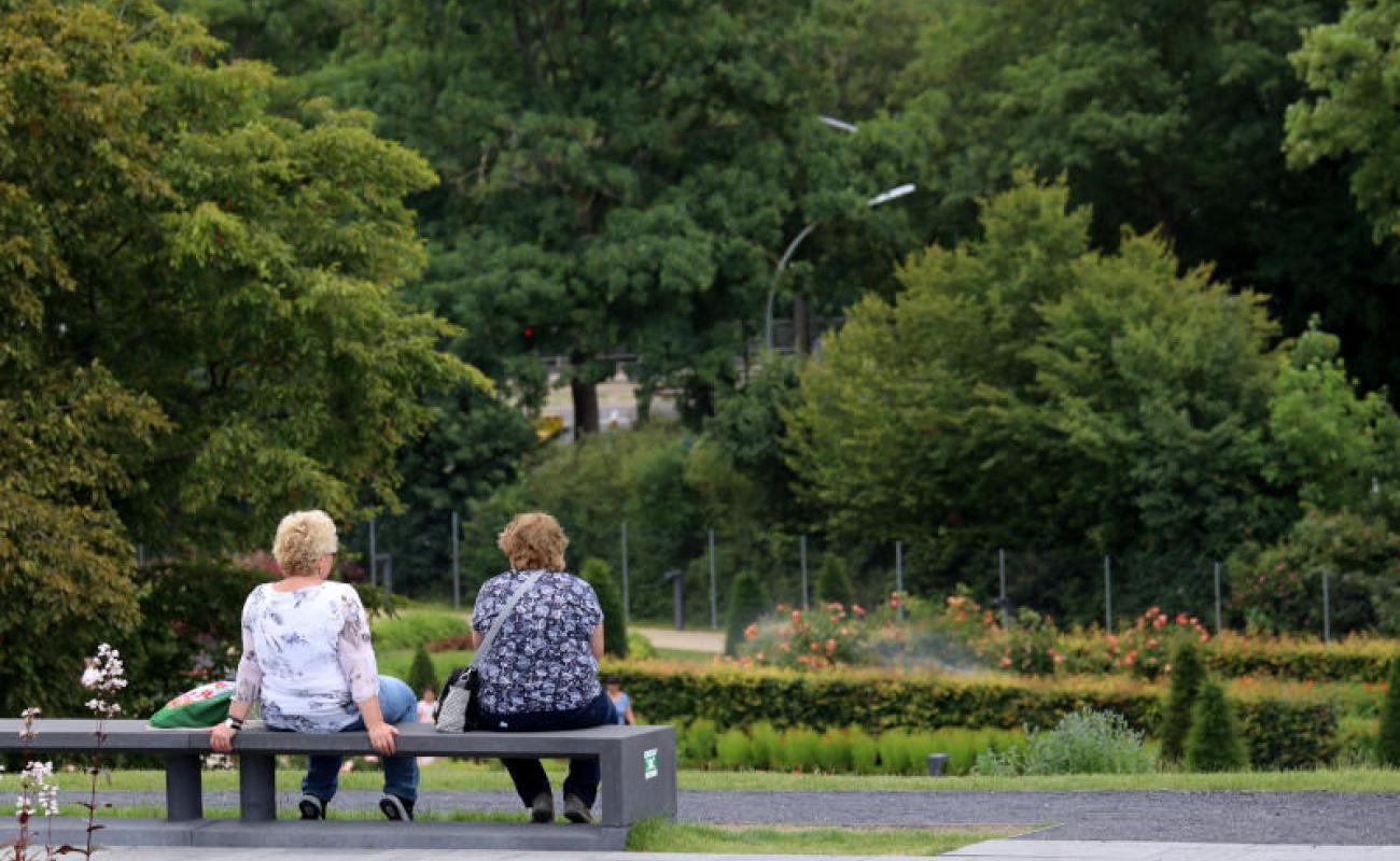 Bildergalerie KamperGartenreich 03