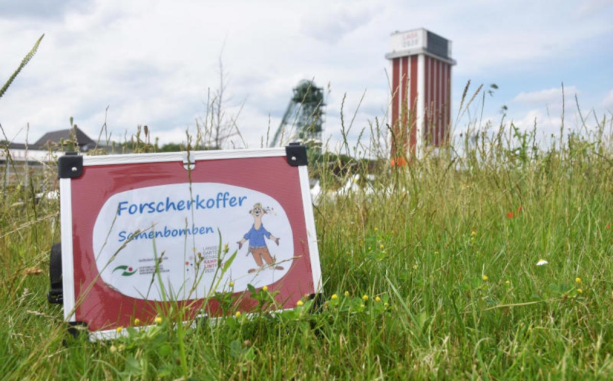 Bildergalerie Veranstaltungen 12