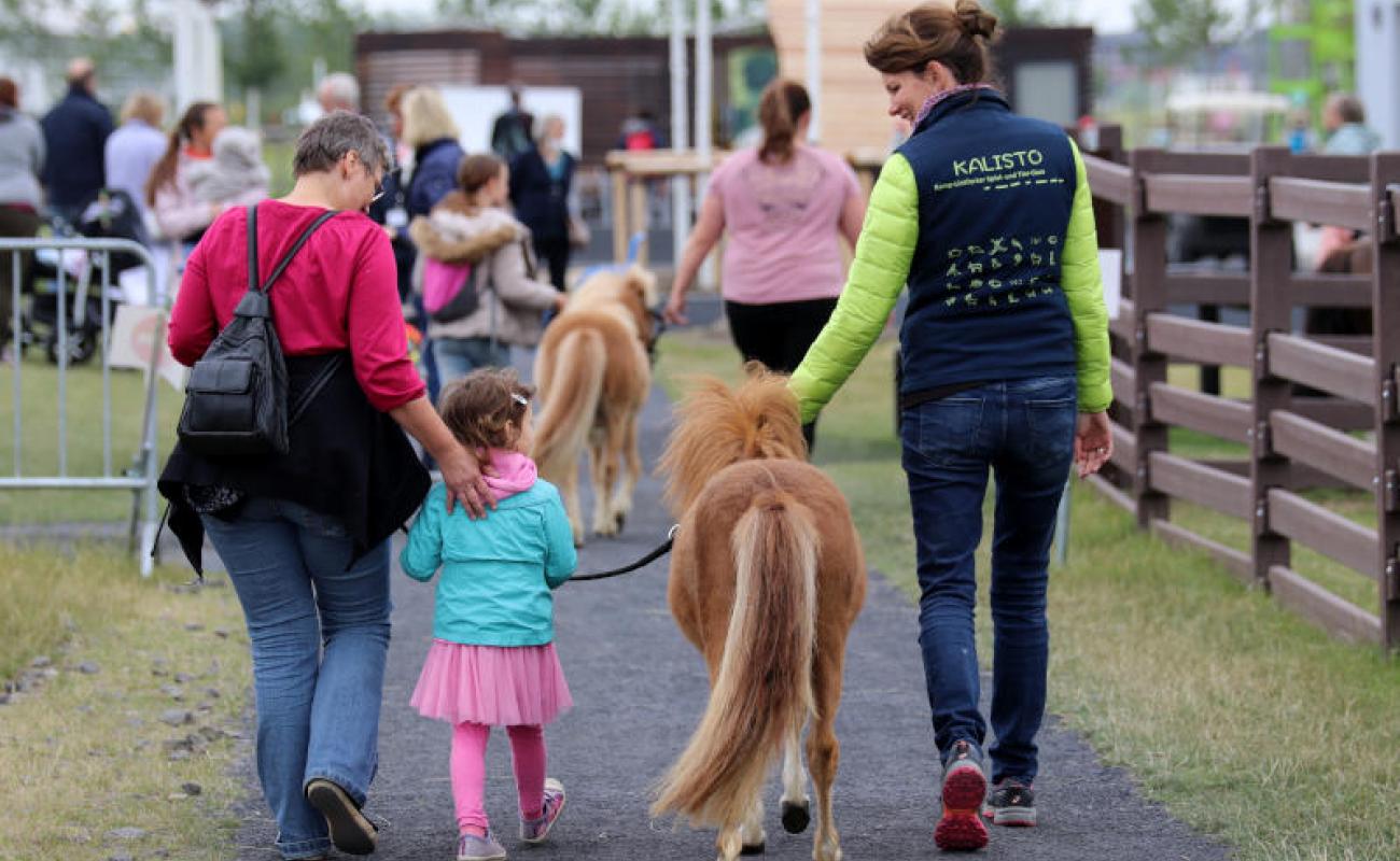 Bildergalerie Veranstaltungen 08