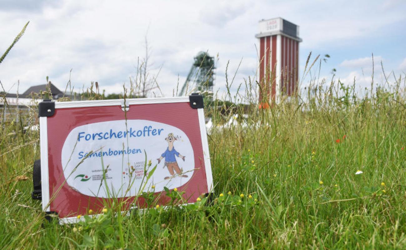 Bildergalerie Veranstaltungen 12