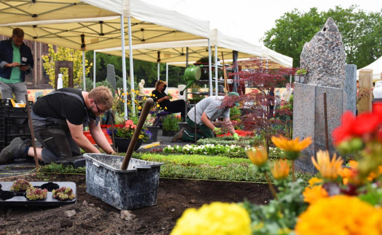 Bildergalerie Veranstaltungen 13