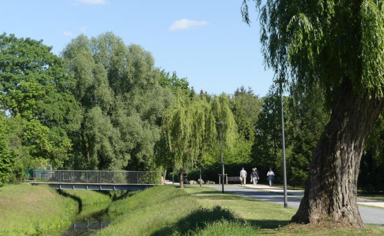 Bildergalerie Wandelweg 01