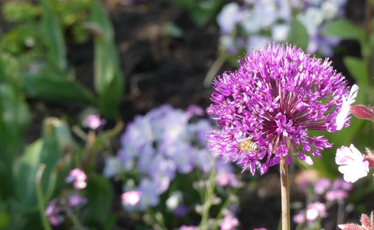 Bildergalerie Wandelweg 02