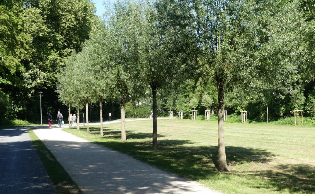 Bildergalerie Wandelweg 03