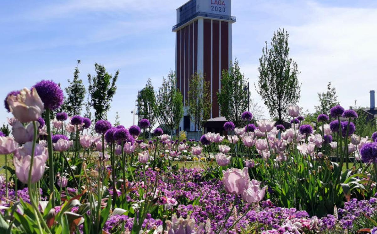 Bildergalerie Zechenpark 05