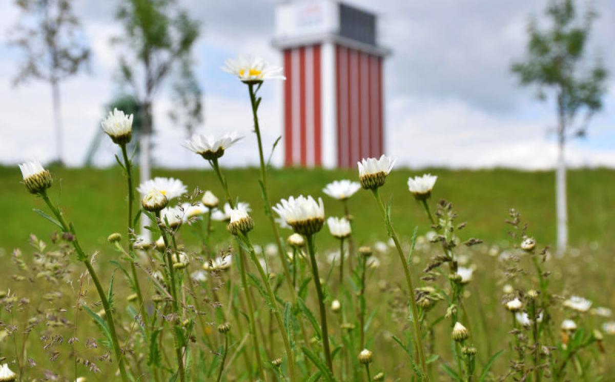 Bildergalerie Zechenpark 01