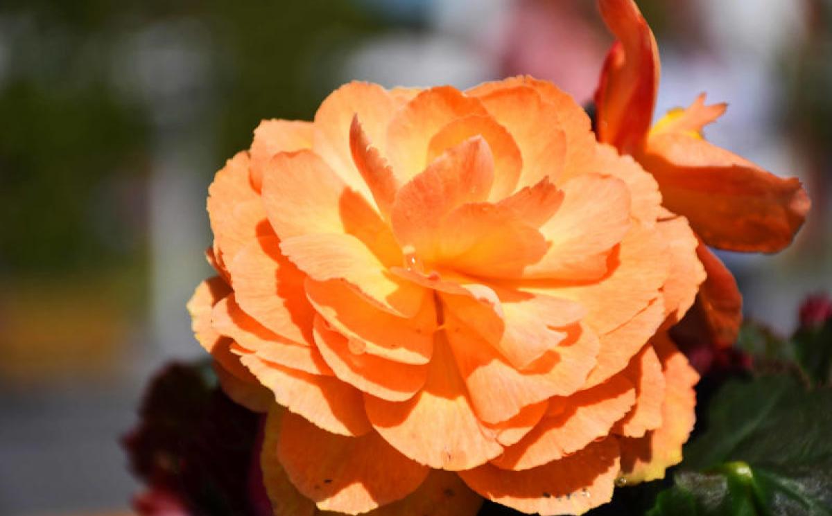 Bildergalerie Zechenpark 02