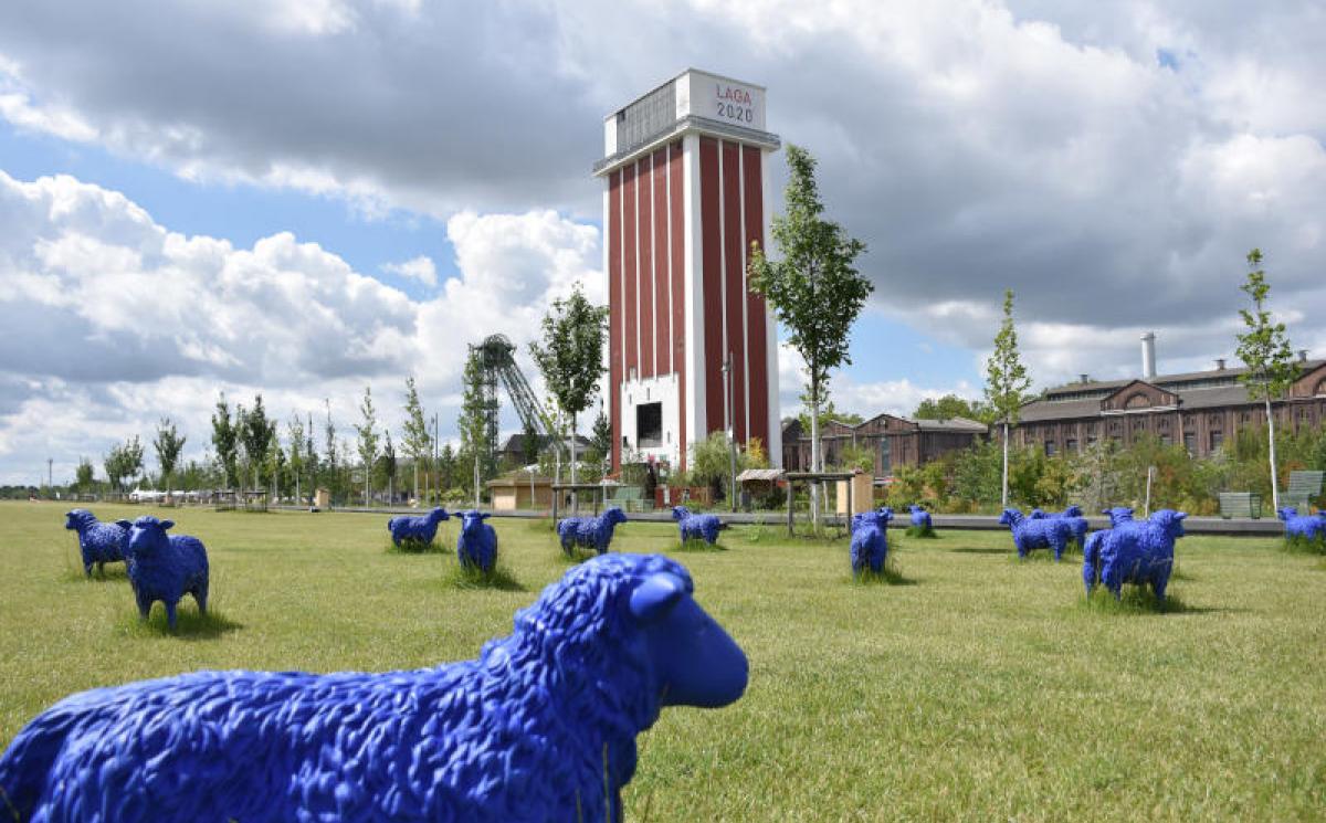 Bildergalerie Zechenpark 15