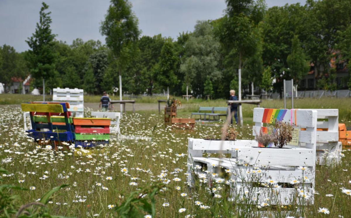 Bildergalerie Zechenpark 19