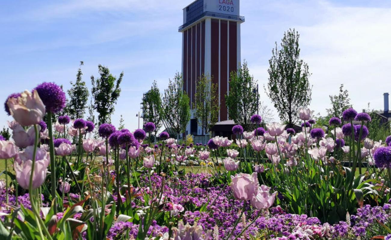 Bildergalerie Zechenpark 05