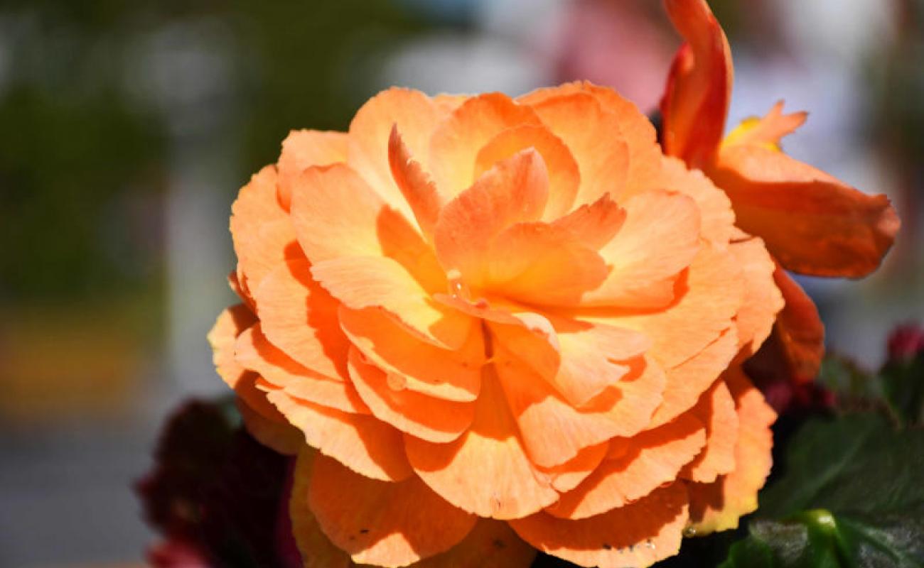 Bildergalerie Zechenpark 02