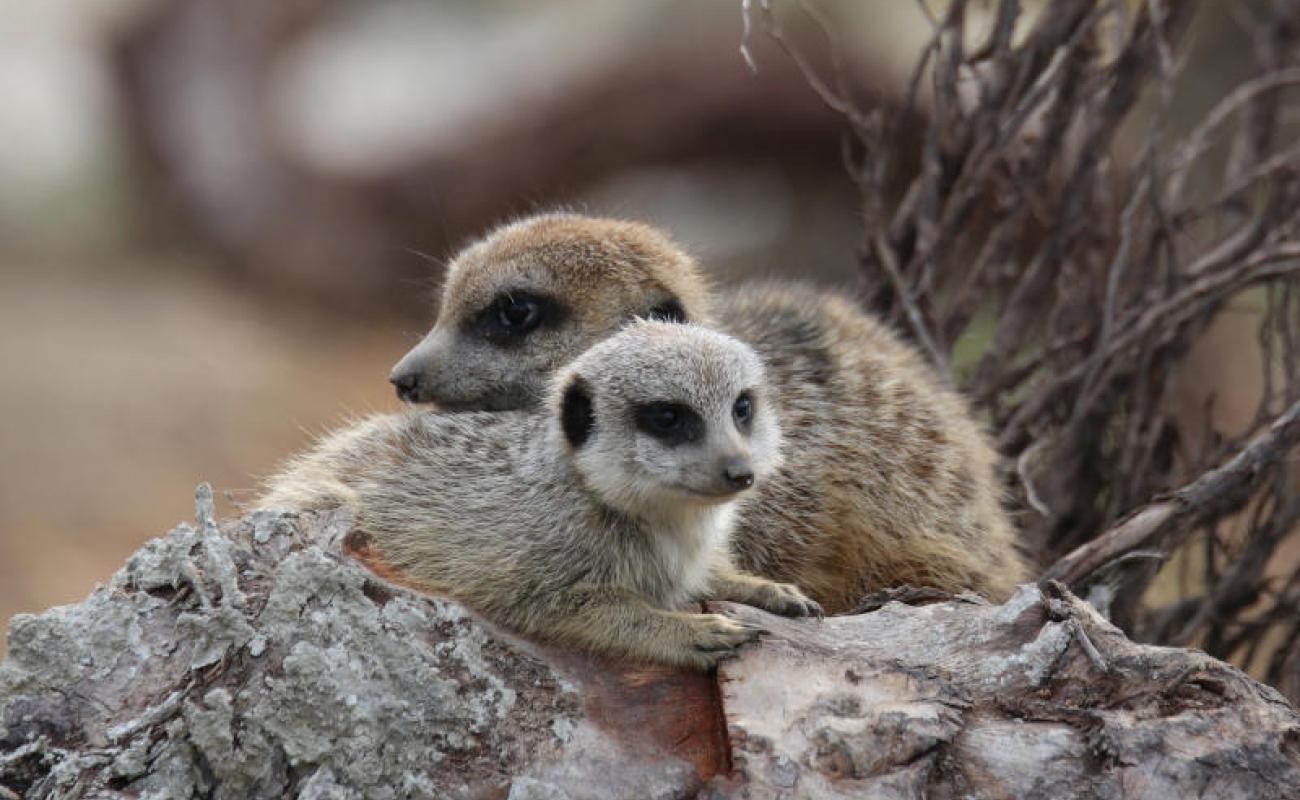 Bildergalerie Zechenpark 07