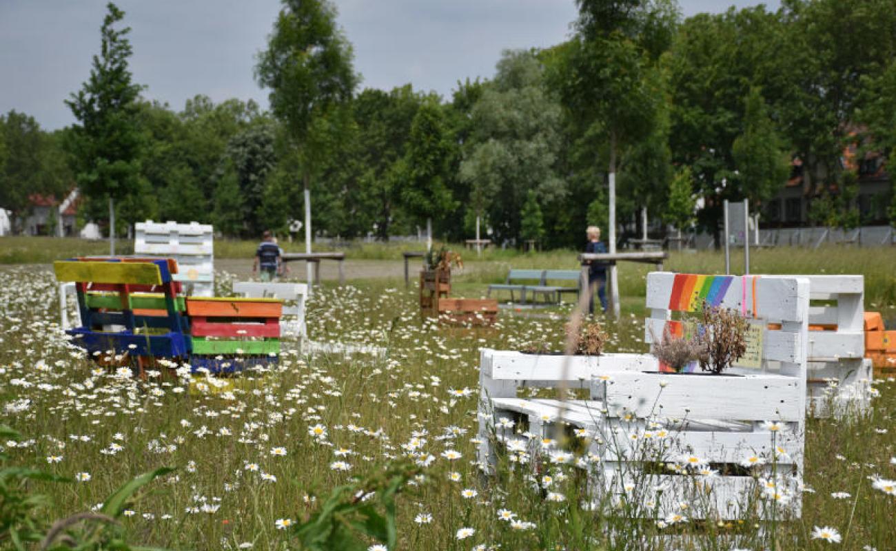 Bildergalerie Zechenpark 19