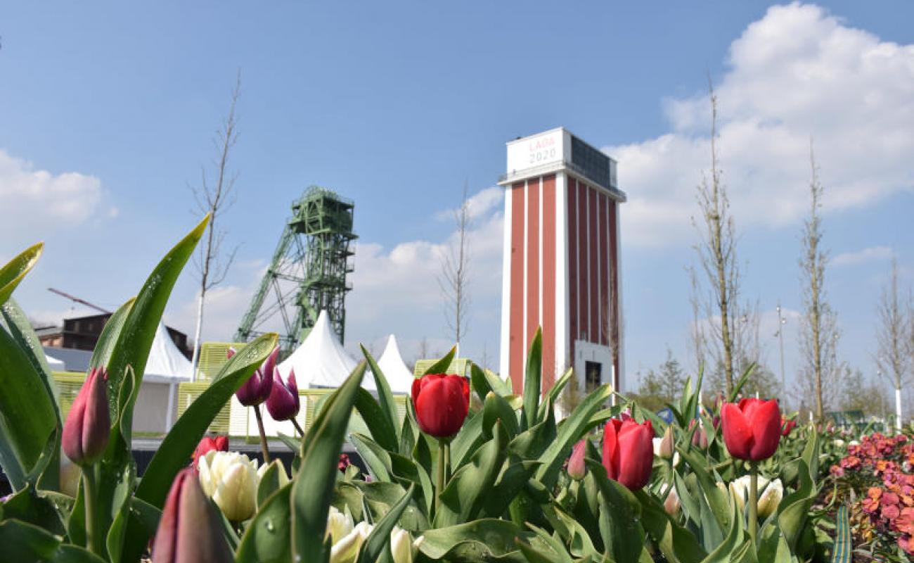 Bildergalerie Zechenpark 23