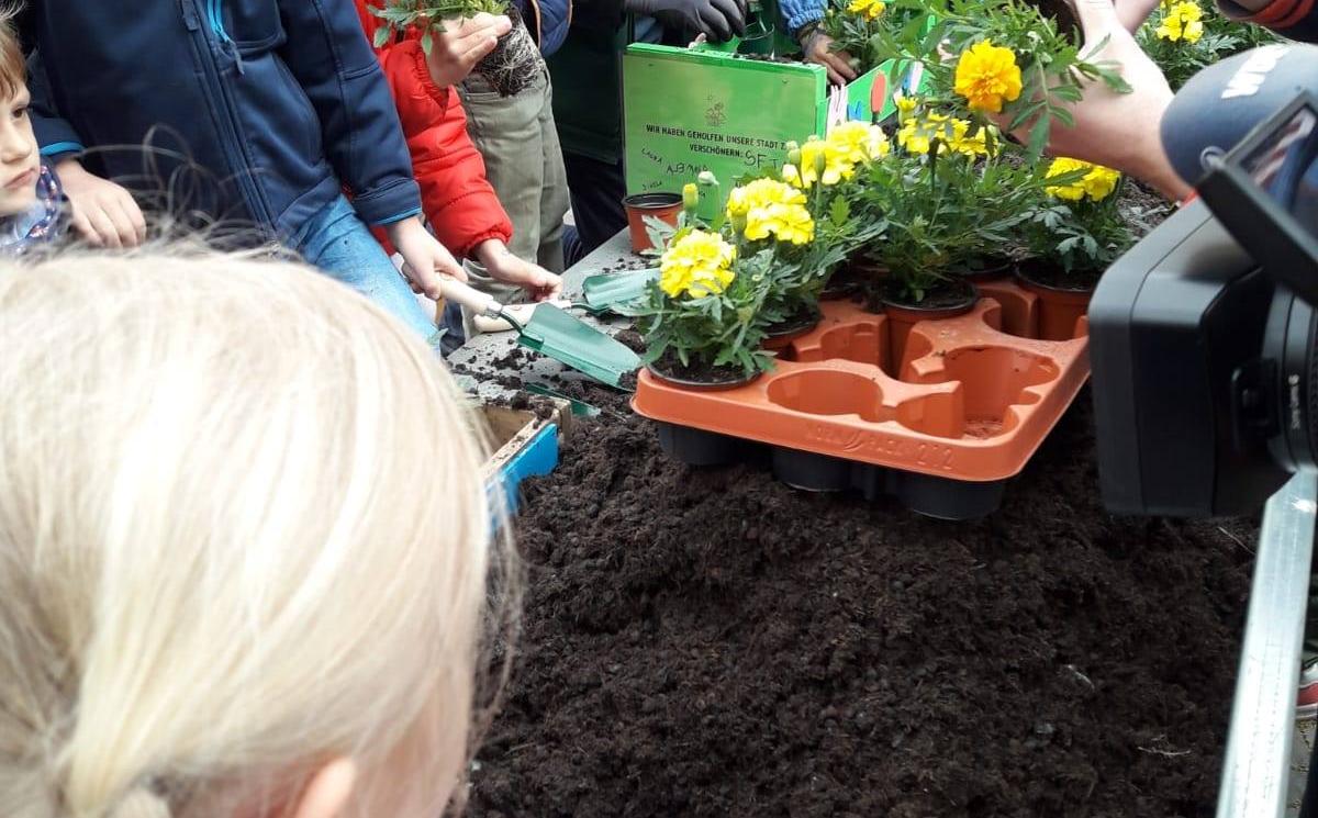 57106732 2241305546086161 3685957146928742400 o