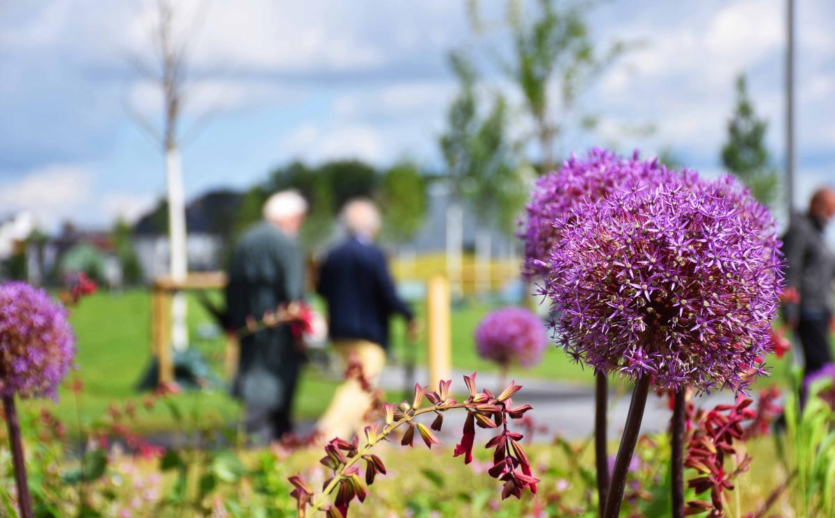 20200606Zechenpark NinaMeise 2