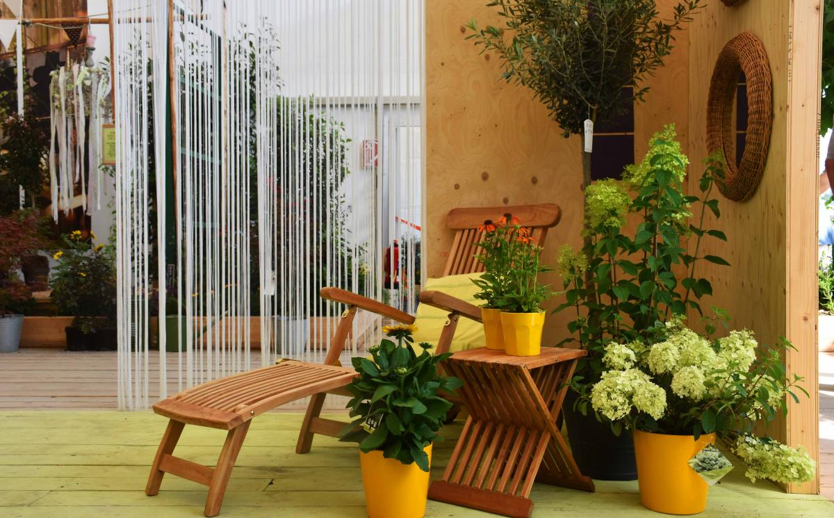 20200723PMKaLiBlumenhalle7 1