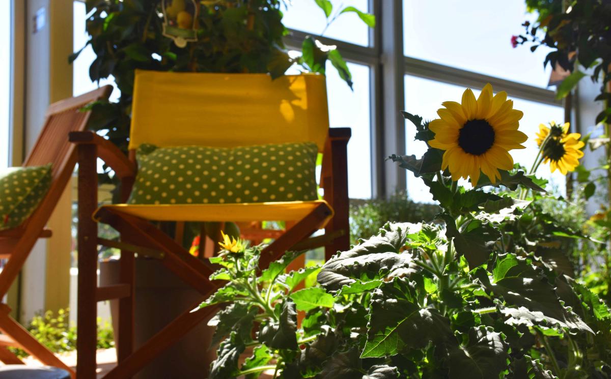 20200723PMKaLiBlumenhalle7 5