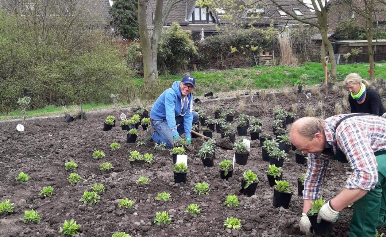 56492596 2234992580050791 1074810201409847296 o