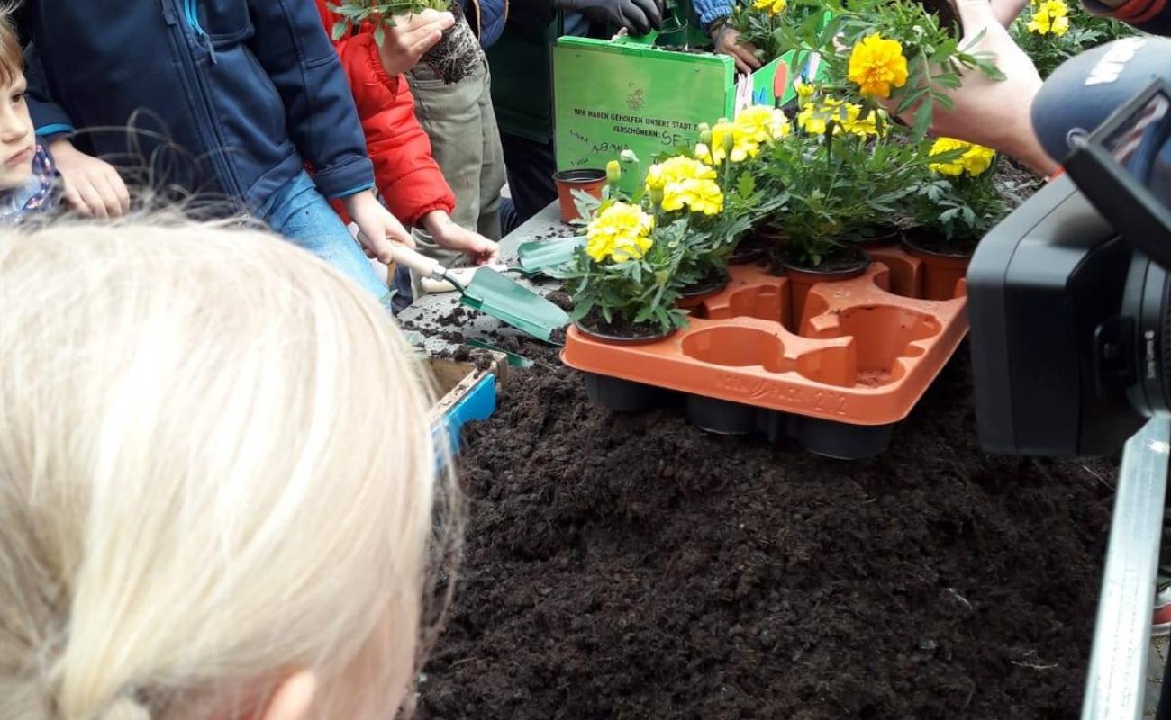 57106732 2241305546086161 3685957146928742400 o