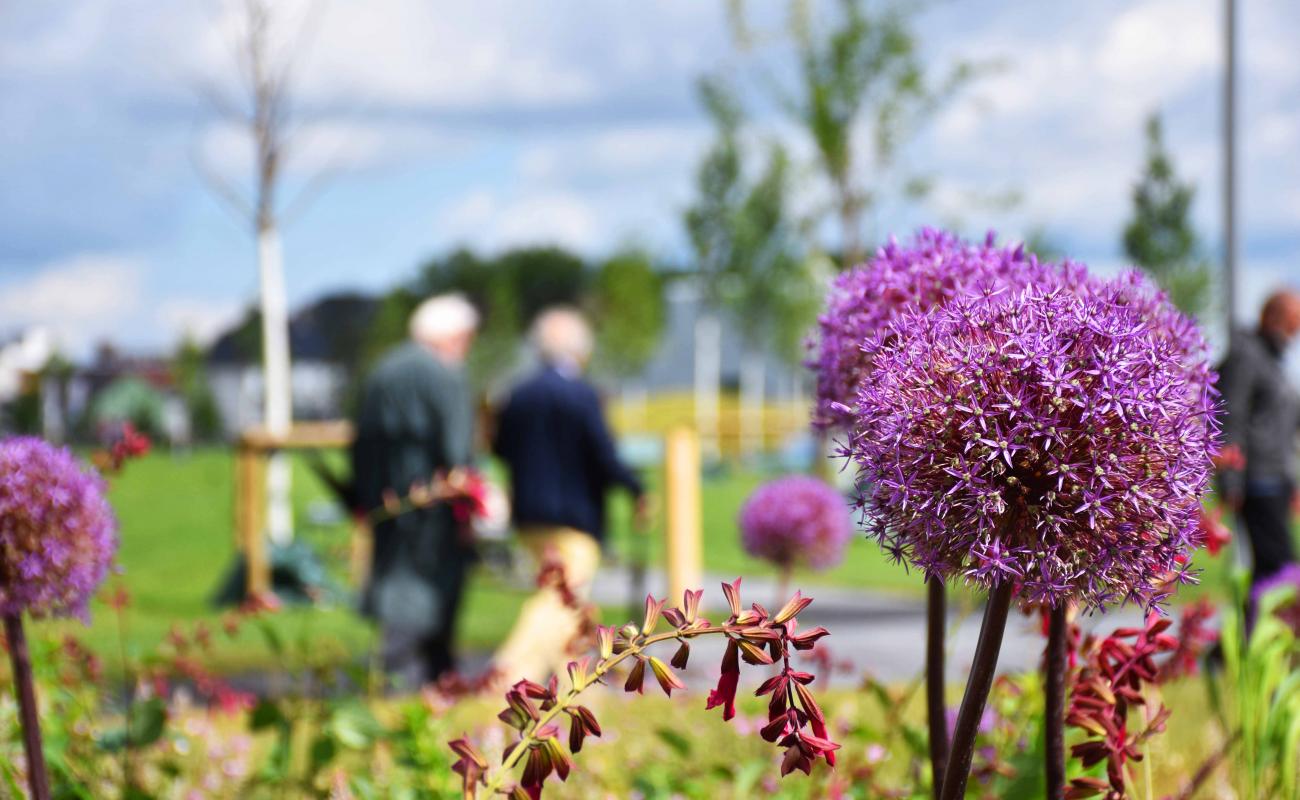 20200606Zechenpark NinaMeise 2