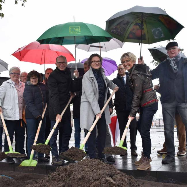 1 20191119BaumpflMinIScharrenb11 30