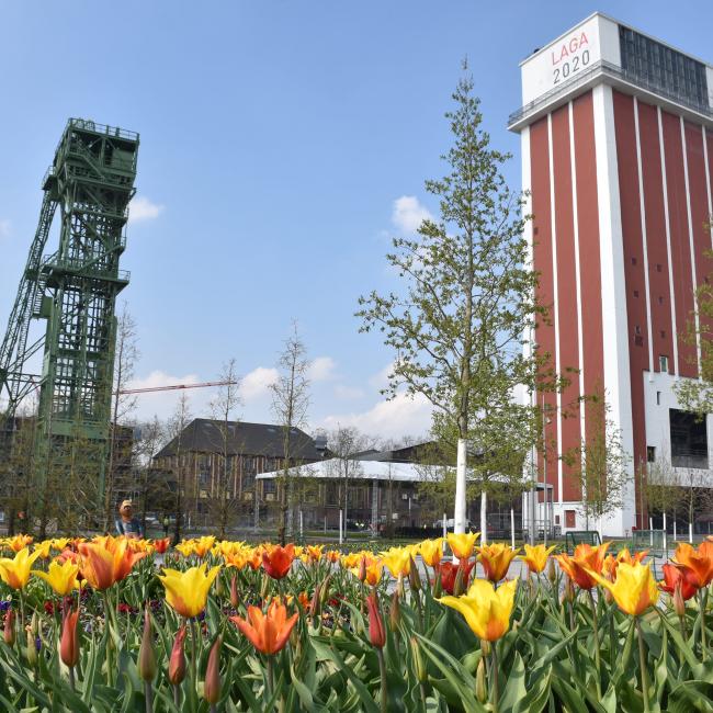 20200407Zechenpark 64