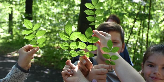 20180514GrueKlassenz 5
