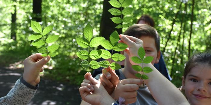 20180514GrueKlassenz 4