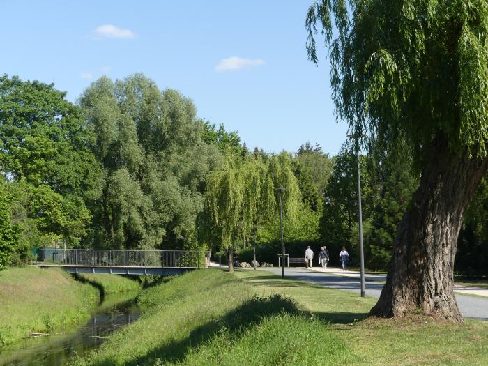 20200514Wandelweg LeaMispelkamp 5