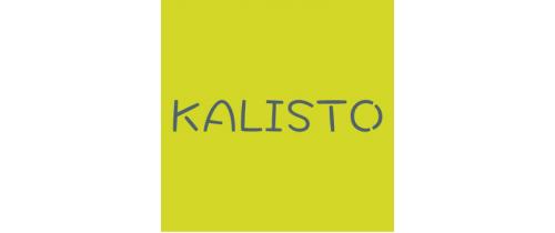 Logo KALISTO